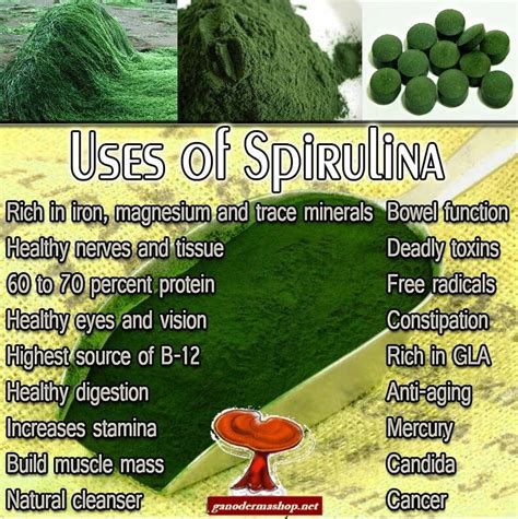 does spirulina have dha.